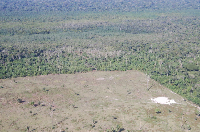 Land clearing in the Brazilian Amazon. Photo courtesy of the Brazilian Forest Service