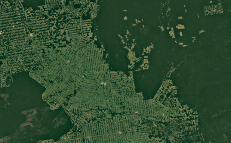 Deforestation in Acre and Rondonia in the Brazilian Amazon. Courtesy of Google Earth / NASA.
