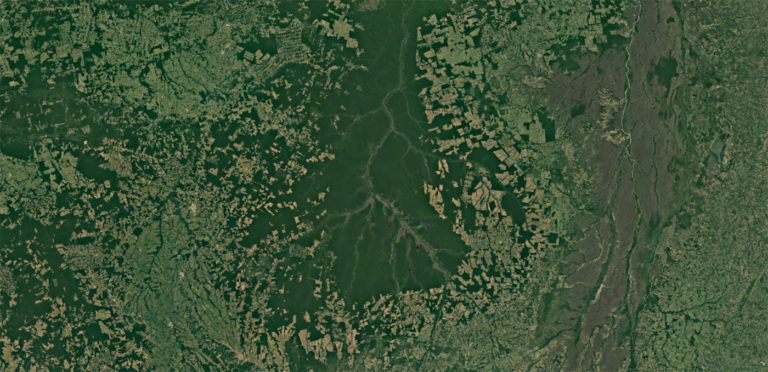 Deforestation around the Xingu Basin in Mato Grosso and Para in the Brazilian Amazon. Courtesy of Google Earth / NASA.