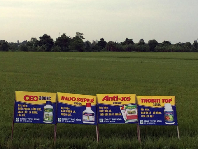 Advertisements for a cocktail of pesticides adorn a rice demonstration plot in the Mekong Delta. Photo by David Brown
