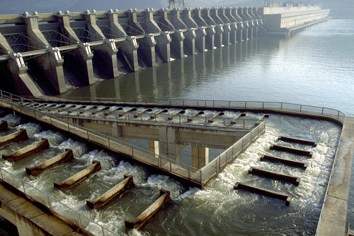 The John Day Dam on the Columbia River in the United States employs a complex fish ladder that aims at helping fish pass the dam. While fish ladders are effective in some cases and for some fish species, they frequently fail to provide truly effective aquatic connectivity. Photo by the U.S. Army Corps of Engineers, public domain
