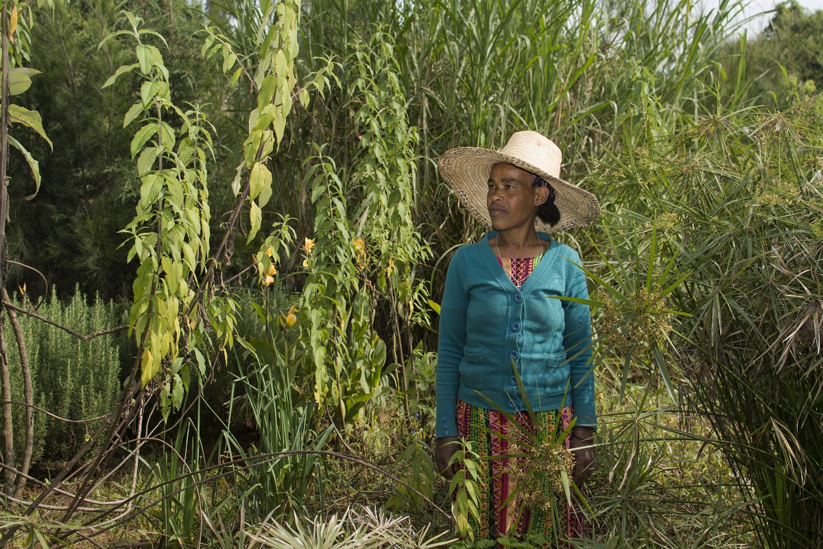 Yetemworq Taye saw her life drastically improve after getting a job at the Gullele Botanic Garden. Photo by Maheder Haileselassie Tadese for Mongabay