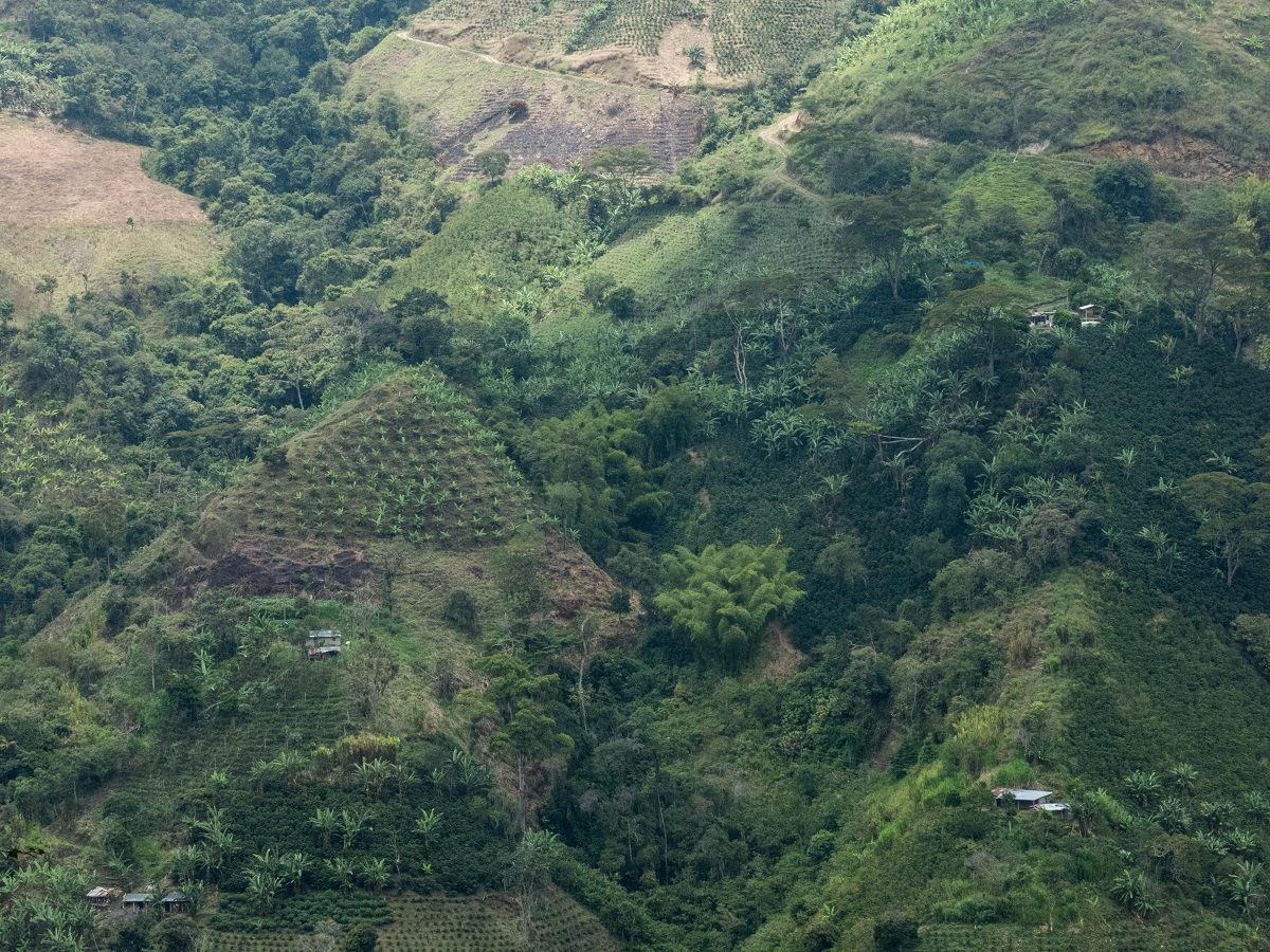 The hills near Cajamarca, Colombia. Photo by Bram Ebus for Mongabay.