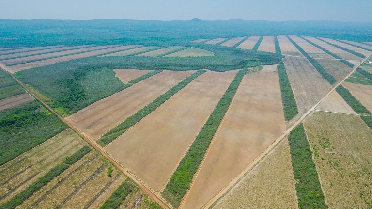 Vast acreages of soy stand out from the surrounding forest in Bolivia. Photo by Jim Wickens/Ecostorm