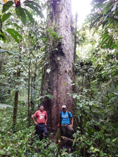 One of the primary objectives of the area is to conserve the forest. Photo courtesy of the Provincial Council of Pastaza via NCI