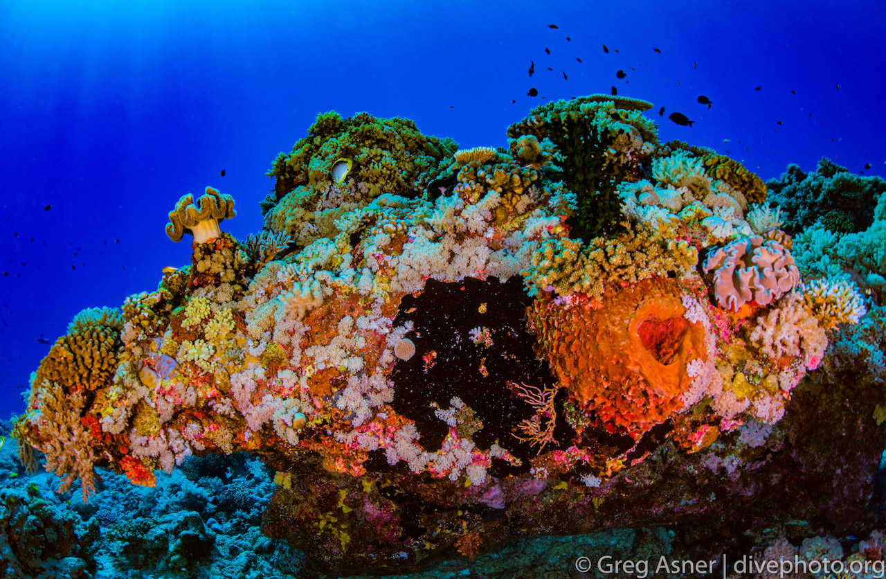 Military base-building destroys coral reefs in the South China Sea