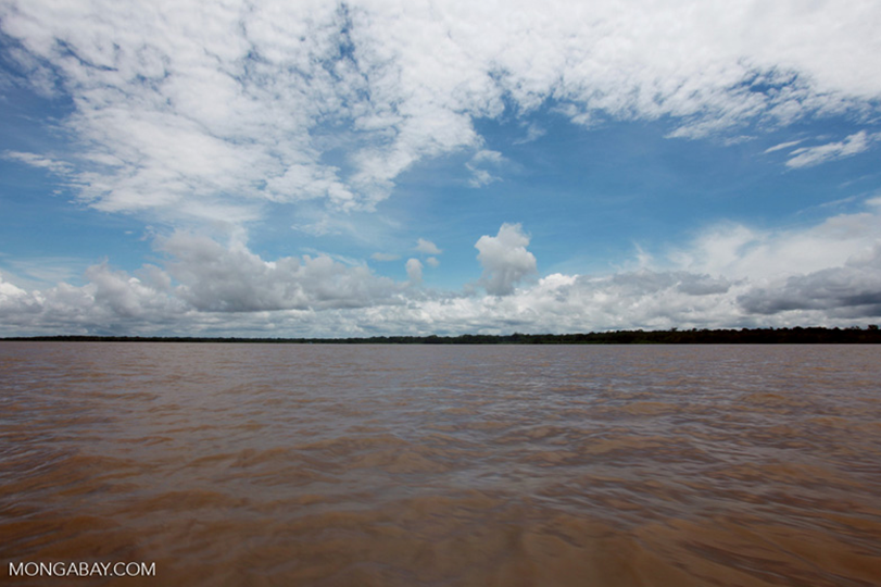 Small Fish Species Could Detect Drought Conditions - Texas A&M Today