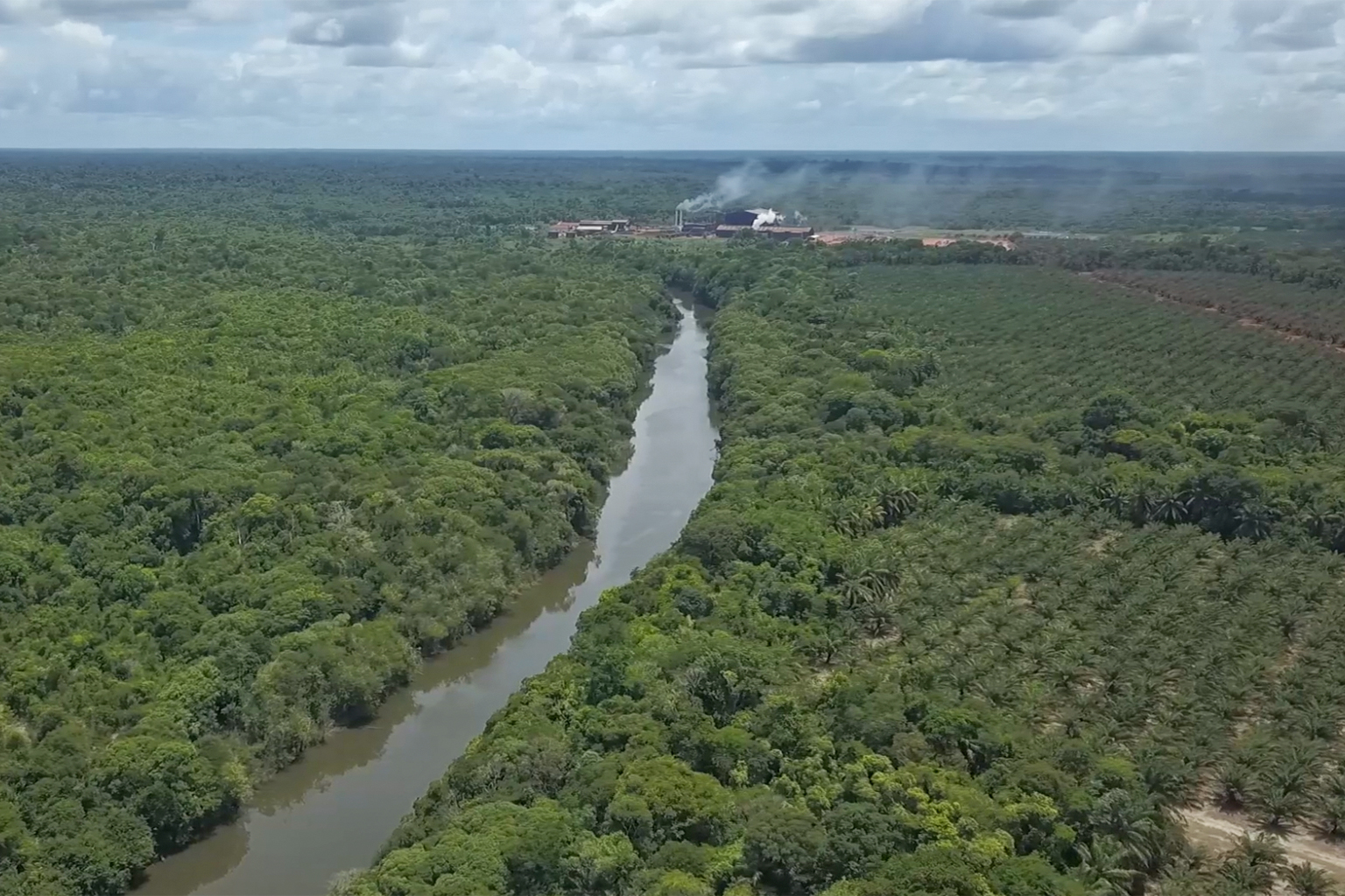 Aerial view of Agropalma's mill, legal reserve and palm crops along the Acará River.