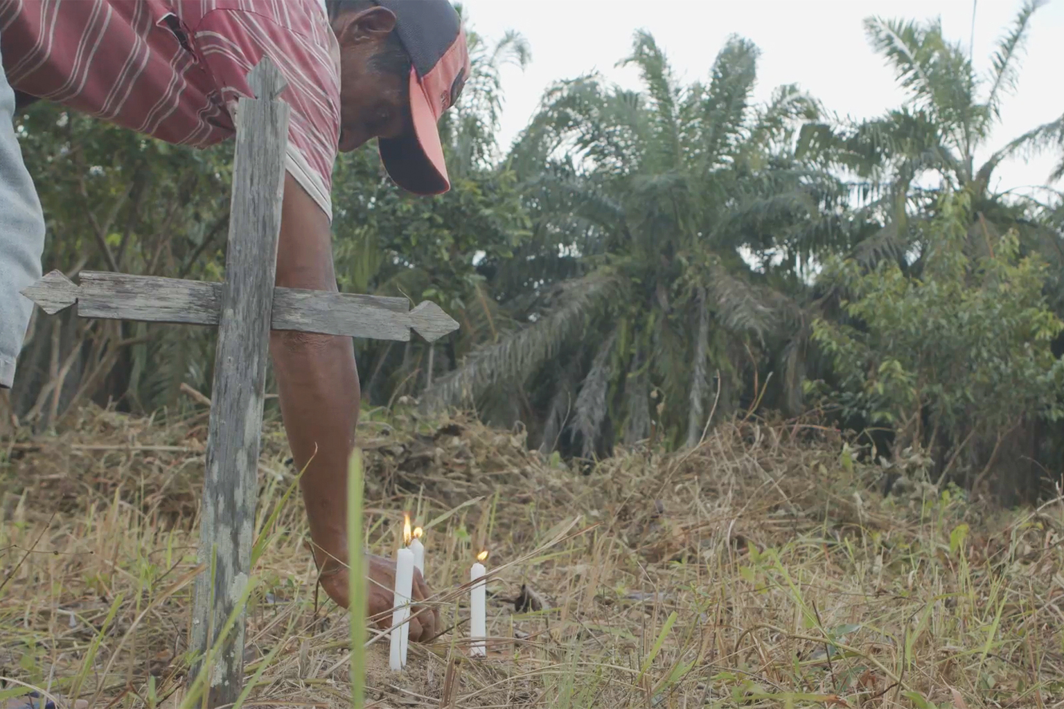 O lavrador indígena Francisco Neves Costa acende velas em uma sepultura com palmeiras ao fundo no Cemitério do Livramento. Imagem: Mongabay.
