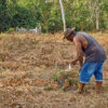 A Quilombolas man lights candles in the cemetery.