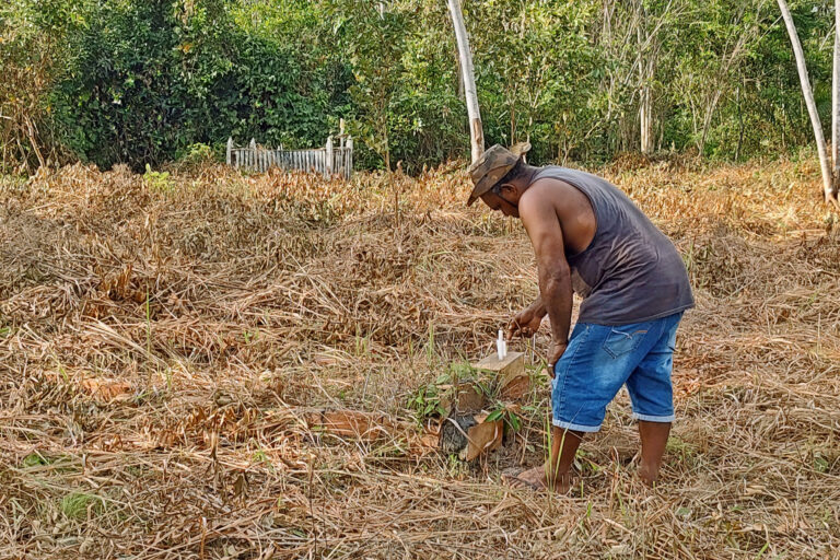 RSPO suspension of Brazil palm oil exporter tied to Mongabay land-grabbing report