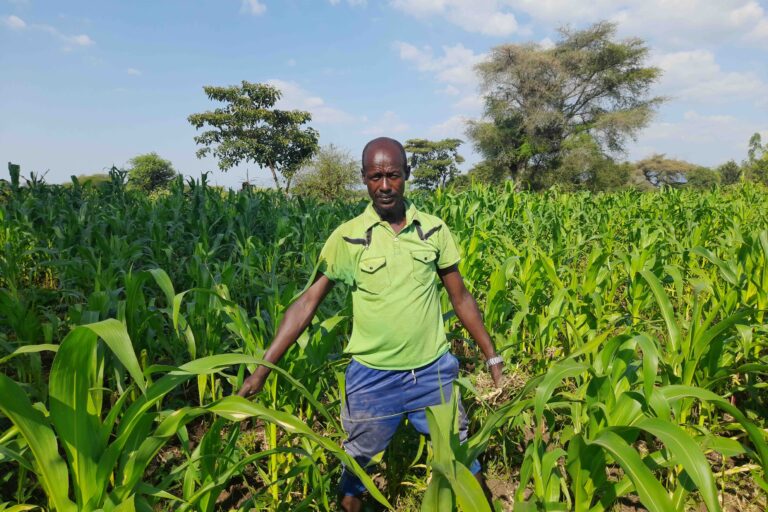 In Tishimale Village, Konso, Belachew and 147 other farmers use flood farming techniques to grow crops three times a year. Without these methods to adapt to the drought and the shortage of rain, it would be impossible to grow sustainably in this dry region. Image by Solomon Yimer.