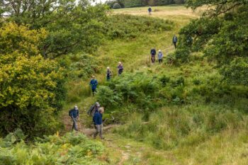 People walking through Rothbury Estate. Image courtesy of John Millard.
